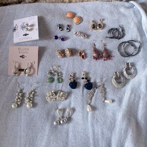 Bunch of Pierced Earrings